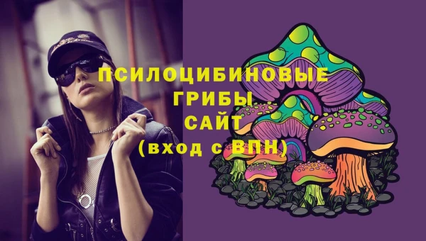 спайс Богородицк