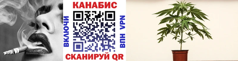 Канабис конопля  OMG маркетплейс  Голицыно 